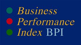 Business Performance Index (BPI)